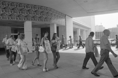 Striking workers picket outside city hall, 1973. Courtesy of The Hamilton Spectator Collection, Local History & Archives Department, Hamilton Public Library.